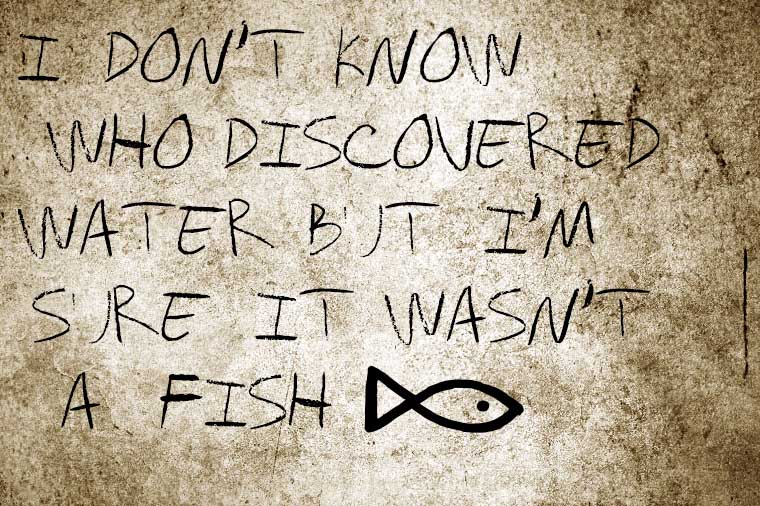 Have You Experienced Vujá dé